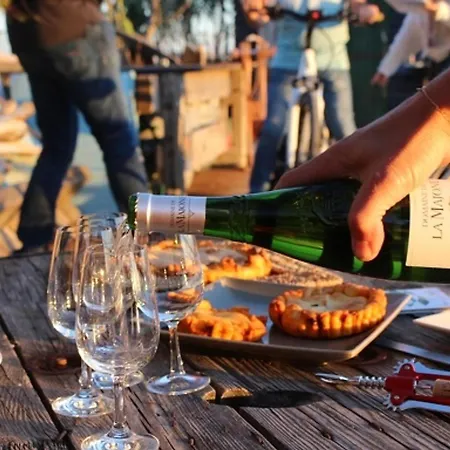 Joli T2 Climatisé Proche Centre Avec Parking Privé Et Loggia - - Fr-1-338-544 * Sète