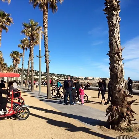 Apartamento Joli T2 Climatisé Proche Centre Avec Parking Privé Et Loggia - - Fr-1-338-544